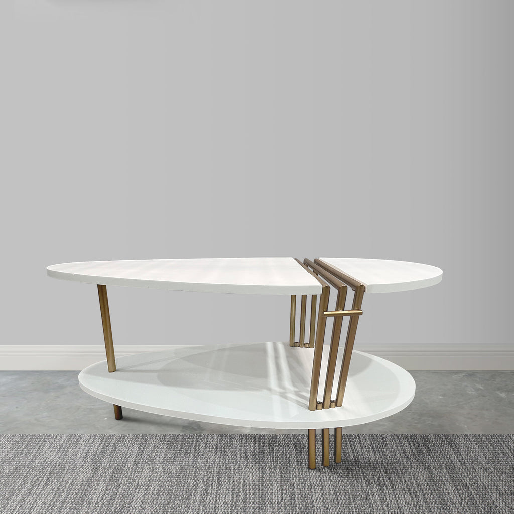 36 Inch Modern Coffee Table, Oval Elliptical Shape, White Mango Wood With Antique Brass The Urban Port