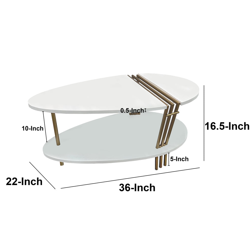 36 Inch Modern Coffee Table, Oval Elliptical Shape, White Mango Wood With Antique Brass The Urban Port